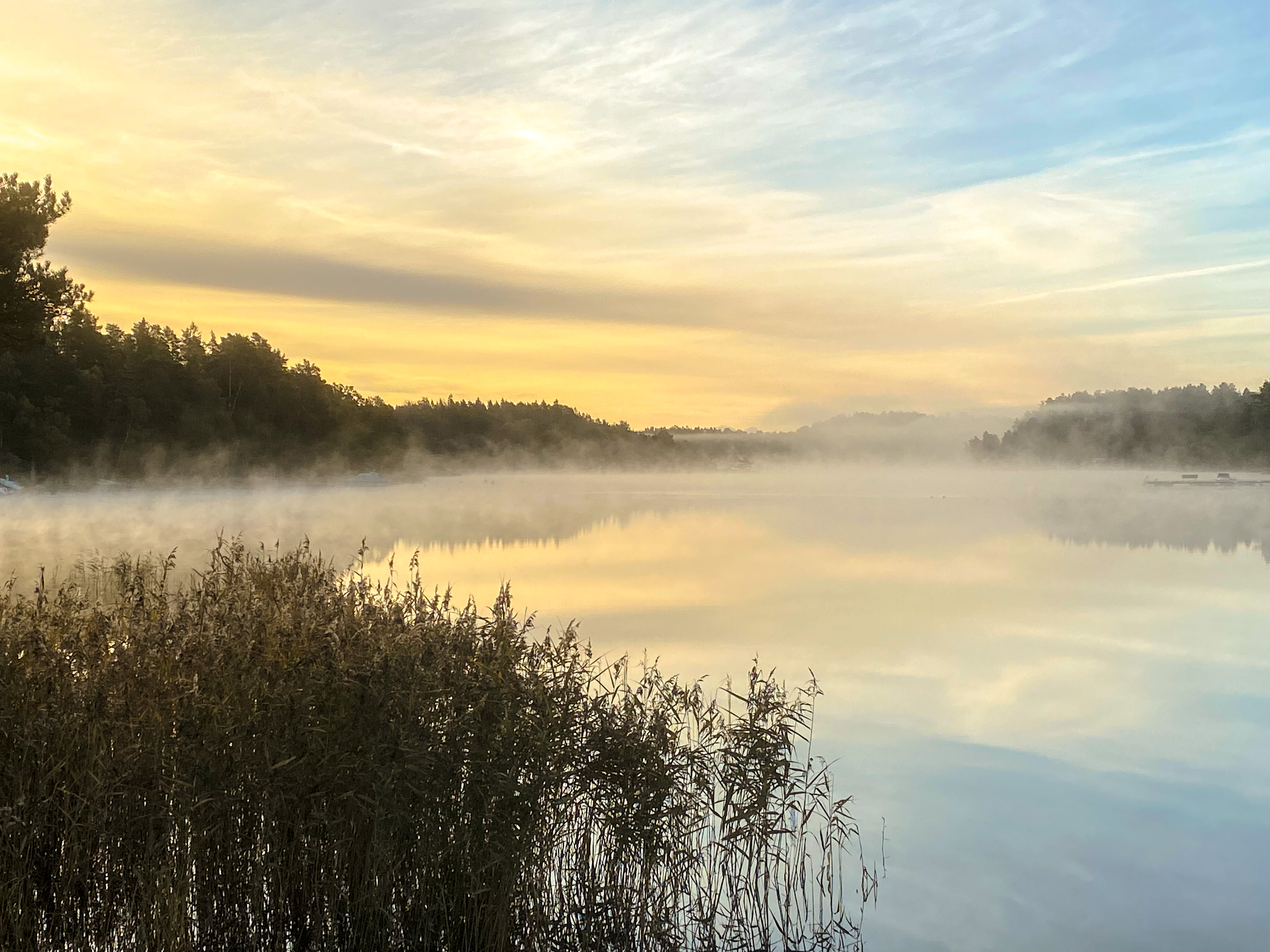 Moronsol Ingarö Oktober 2023