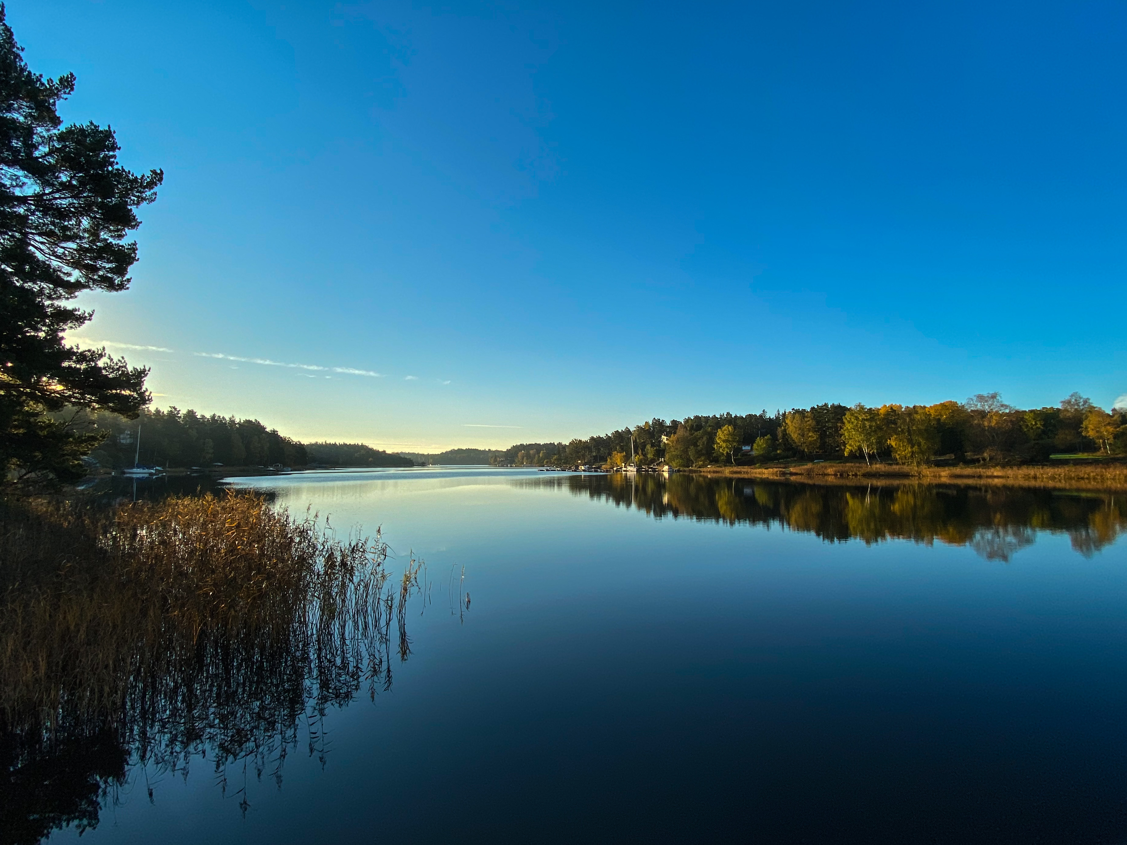 Ingarö Säbyviken en tidig morgon
